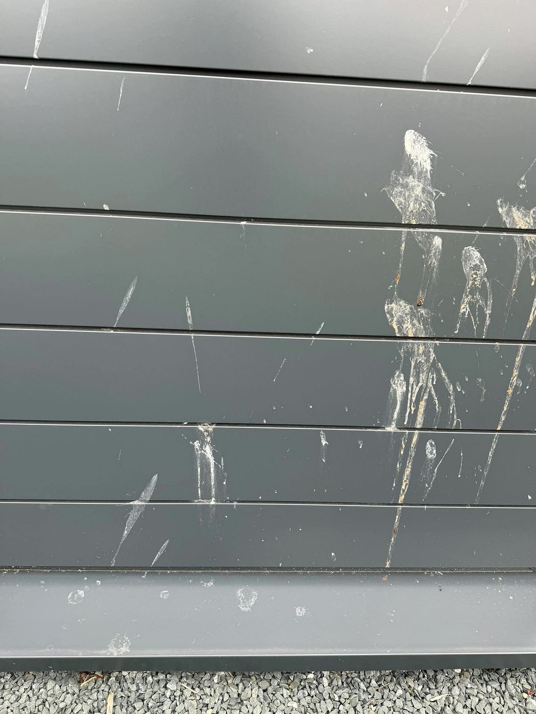 Close-up of heavy bird fouling on cladding
