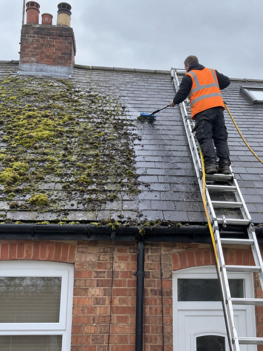 Roof cleaner on a ladder brushing moss off a slate roof, half the roof cleaned